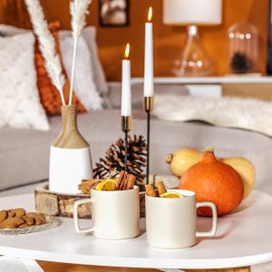 Salony Agata_salon w odcieniach terakoty_8 Terakota – jeden z najmodniejszych odcieni we wnętrzach tego sezonu